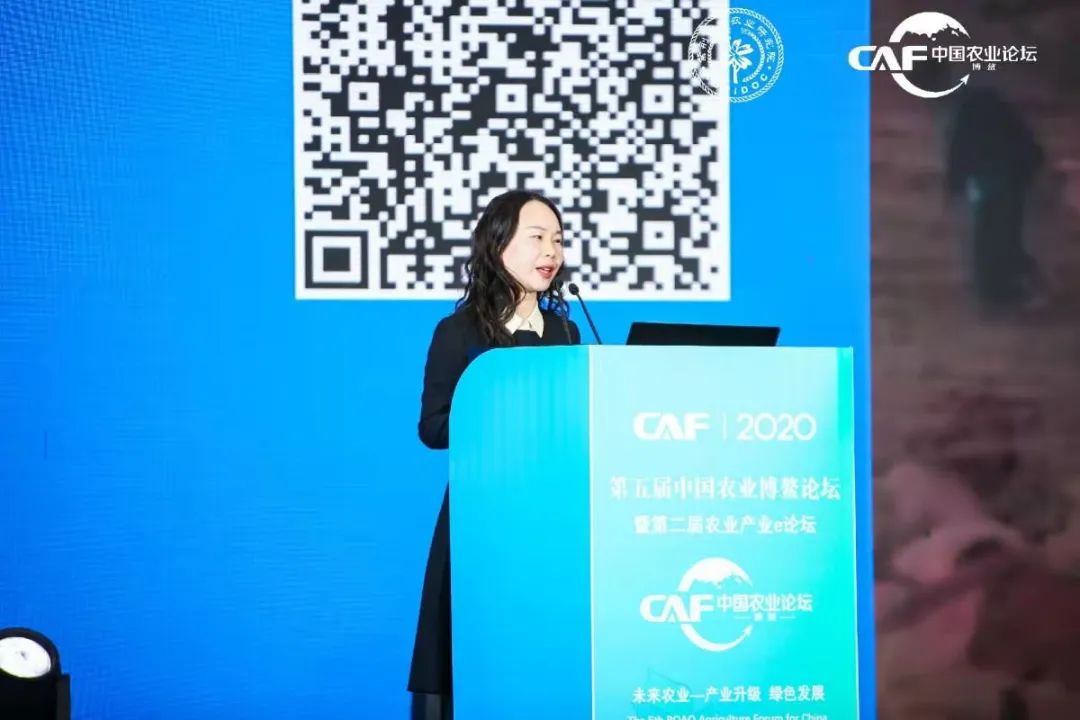 让定心绿茶走出国门，享誉世界