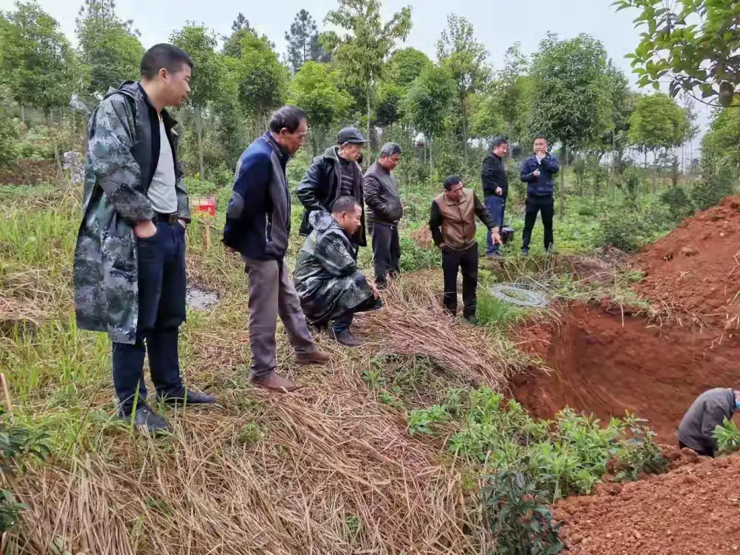 两市塘街道办：既能独当一面 亦能并肩作战