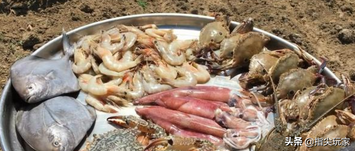 印度人既不吃猪肉，也不吃牛肉，看清他们桌上