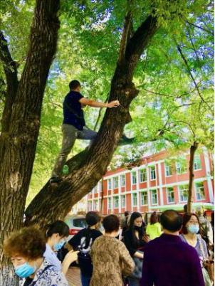 幼儿园开学第一天，孩子各种“戏精”表演，家长更厉害，还上树了