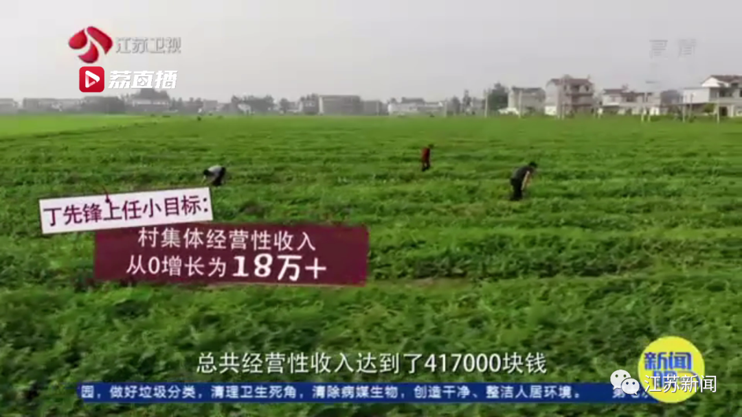 灌云“西瓜书记”第二次丰收，这次是芦蒿！小康路上，谁都不掉队