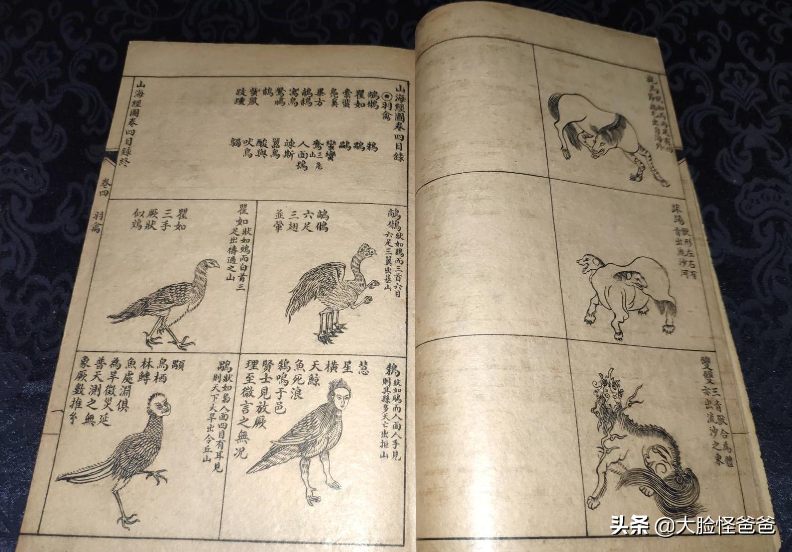 山海經里的神秘「視肉」，現實中真的存在/舌尖上的《山海經》-01 - 資訊咖