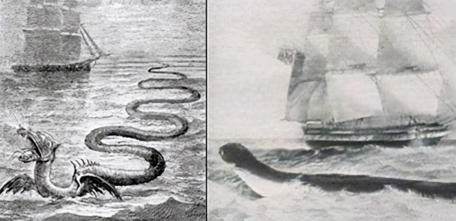 The legend of the ocean python - iNEWS