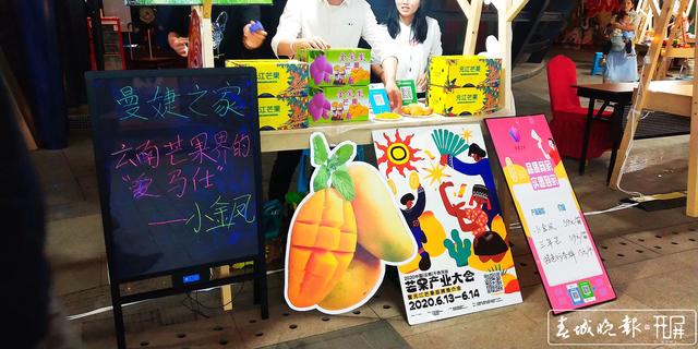 疫情之下，云南导游们开启各种技能“自救”