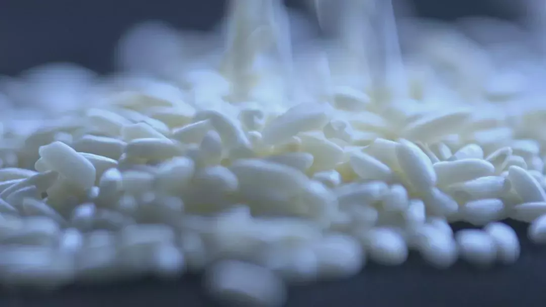 透视《稻米之路》:是“粒粒皆辛苦”,更是“粒粒皆世界”
