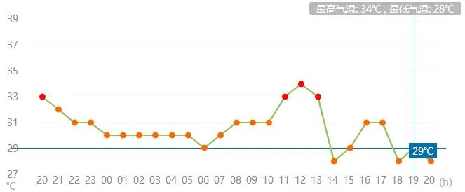 8黄1红，热闹的中超回来了！河南继续专治各种不服，卡纳瓦罗也管不住球员的脾气