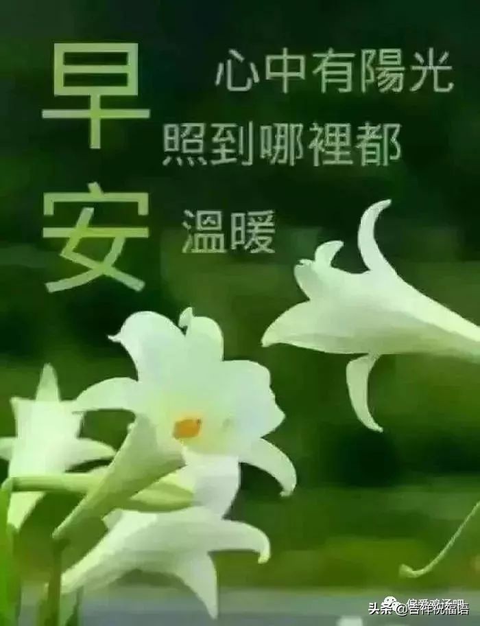 早上好动态图片带字和鲜花 早上好图片大全图片