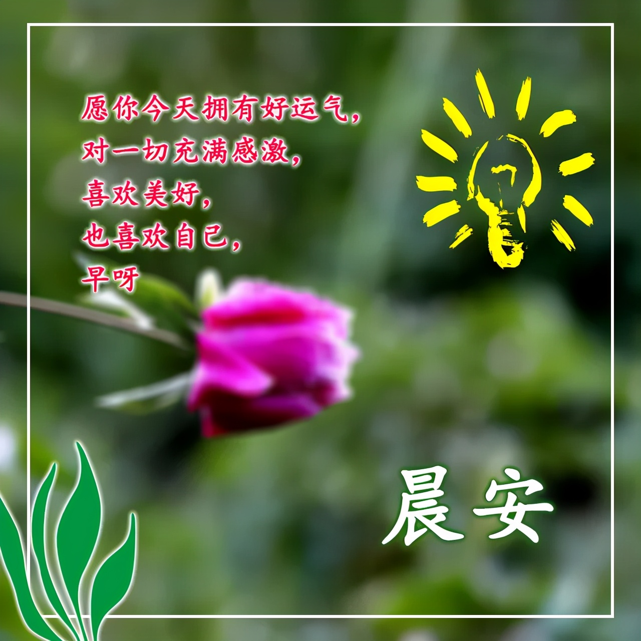 早上好漂亮表情问候祝福文案图片 早上好朋友圈表情图片精华图片