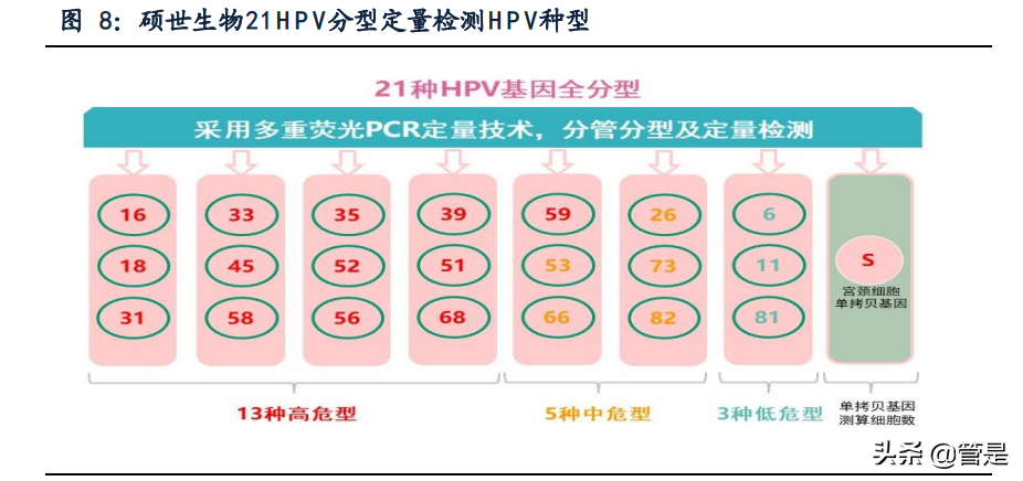 硕世生物专题报告：疾控领域领先企业，后疫情时代突出受益
