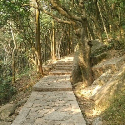 曾祥裕风水团队以徐霞客为榜样 双脚丈量泉州山水