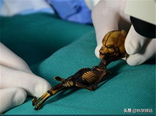 2021年了，你還相信宇宙中真的有外星人嗎？