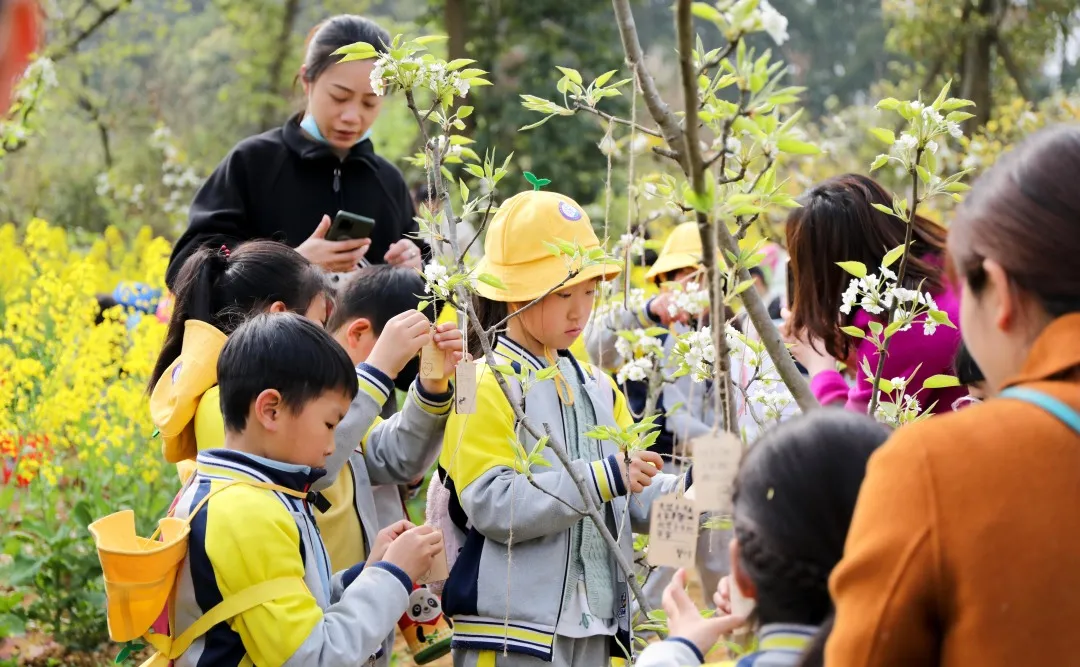 “我们”有一块地这就播种去丨天府新区元音小学劳动实践基地启动
