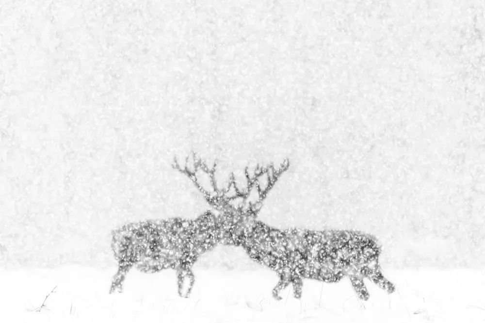 分不清是現實還是虛幻：45張攝影作品，捕捉大自然的神秘