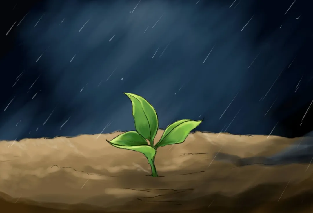 雨,一生的悲欢离合-第2张图片-非凡网 雨,一生的悲欢离合-第2张图片-非凡网