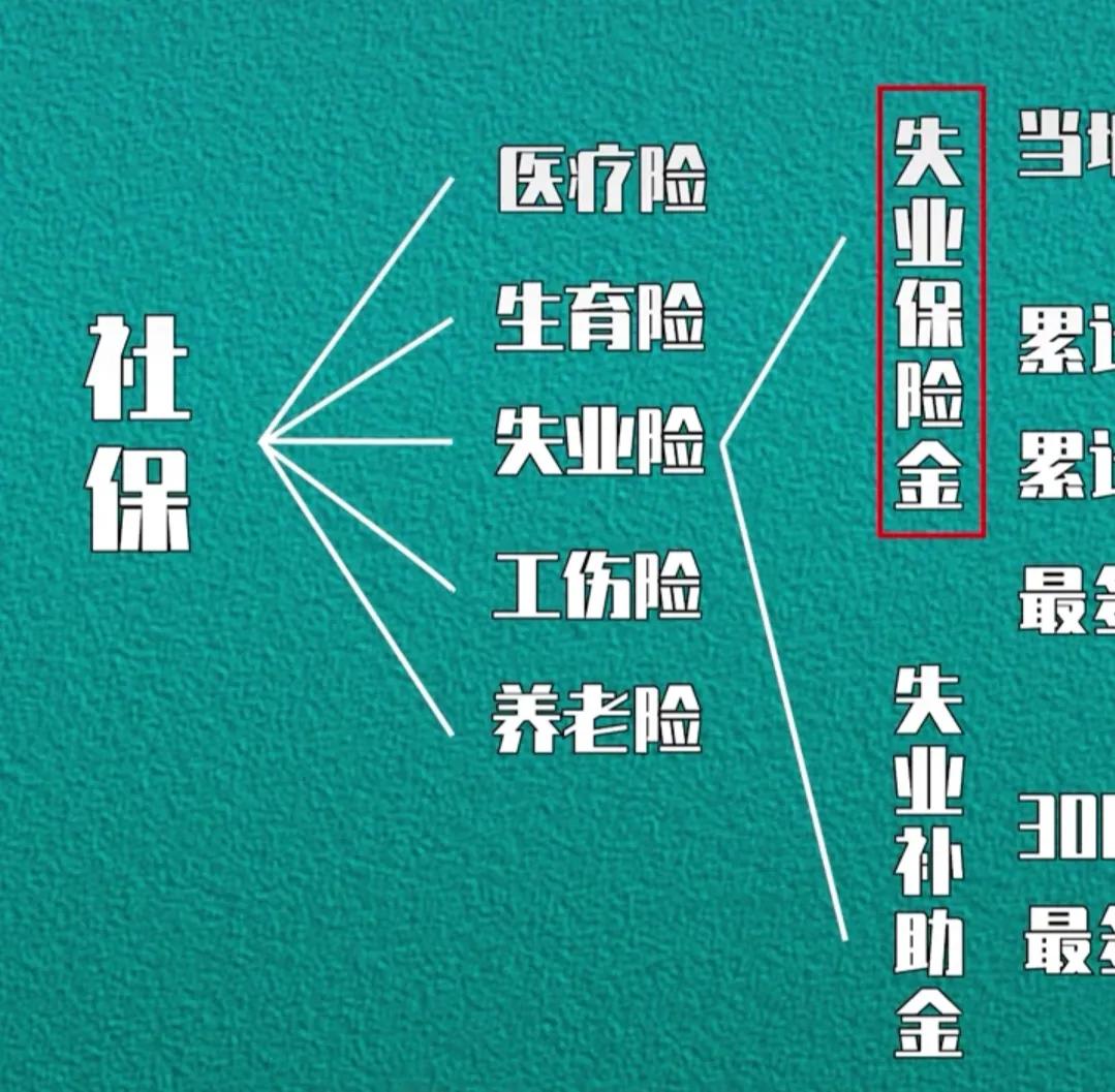 “五险一金”如何使用 第5张