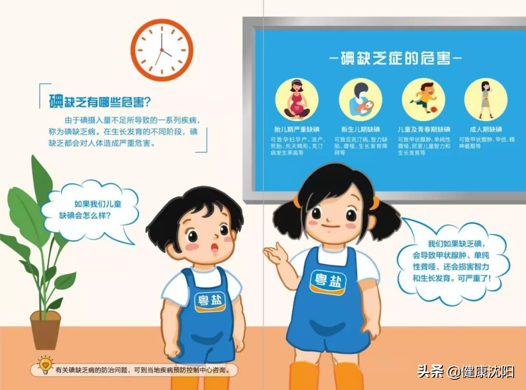 健康知識普及行動系列科普知識講座之合理膳食篇