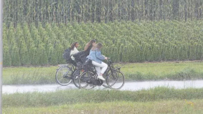 下雨天荷兰人为什么不打伞?