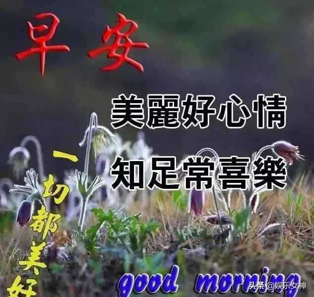 非常漂亮微信群早安问候图片，经典温馨的早安问候短语图片