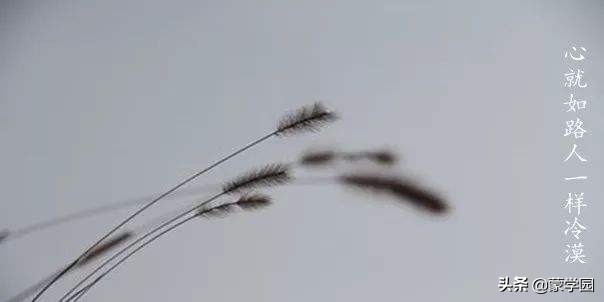 看透人生百态尝尽人间冷暖的句子 看透人情淡薄的句子图片