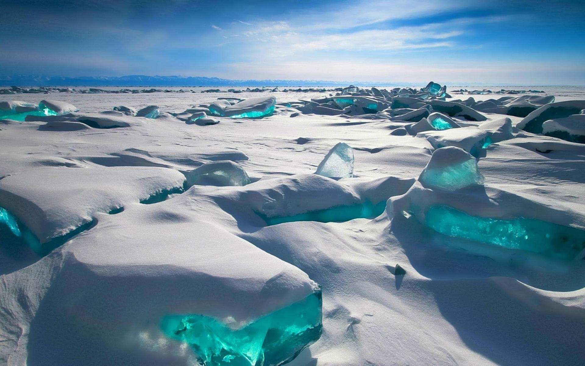 贝加尔湖明明是淡水湖，为什么还会有海洋生物在此生活？