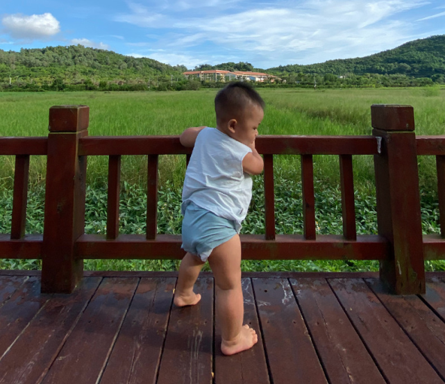 蔡少芬全家幸福出游，俩女儿骑马游泳玩嗨，儿子虎头虎脑超壮实