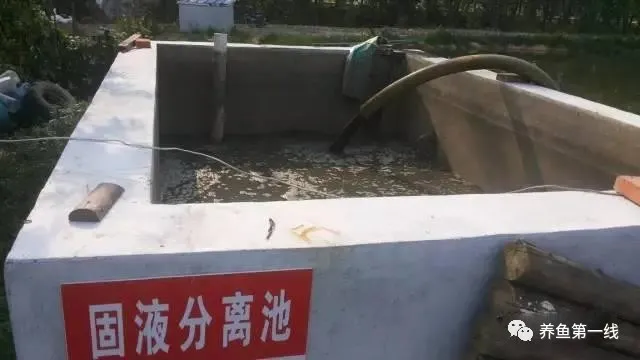 池塘底排污:排除废水,改良底质,净化水体,水好鱼才好