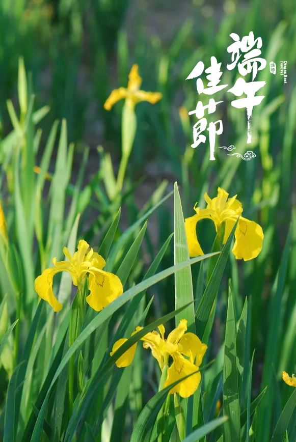 十五首端午的古诗词，写尽端午的习俗与万般思绪-第26张图片-非凡网