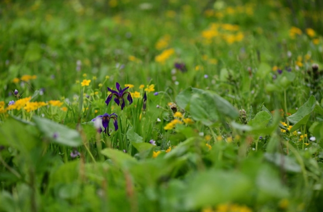 新的一月开始怎么发朋友圈 七月再见八月你好的说说文案句子
