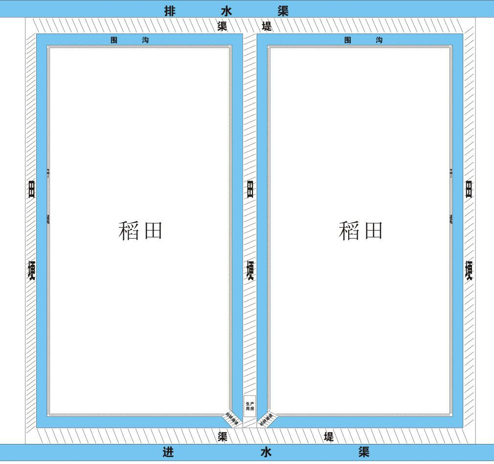 虾稻共作模式与技术讲座