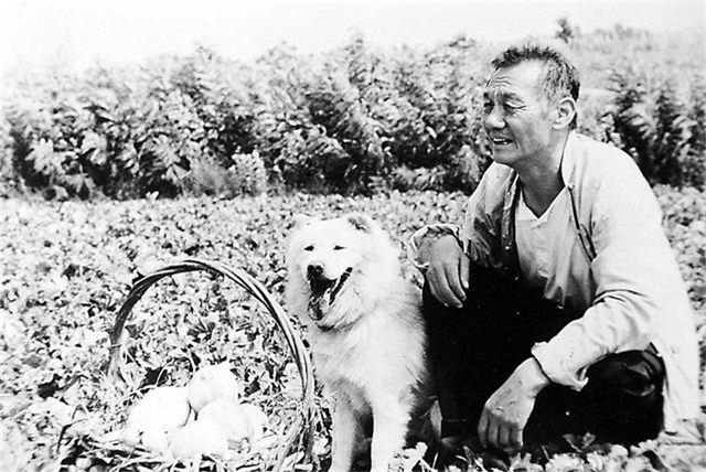 2020年去世的20位内地电影人：于蓝99岁，谢园只有61岁