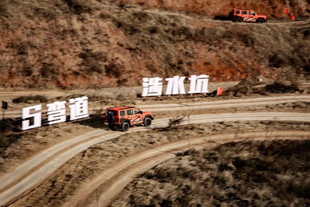 大河报汽车网