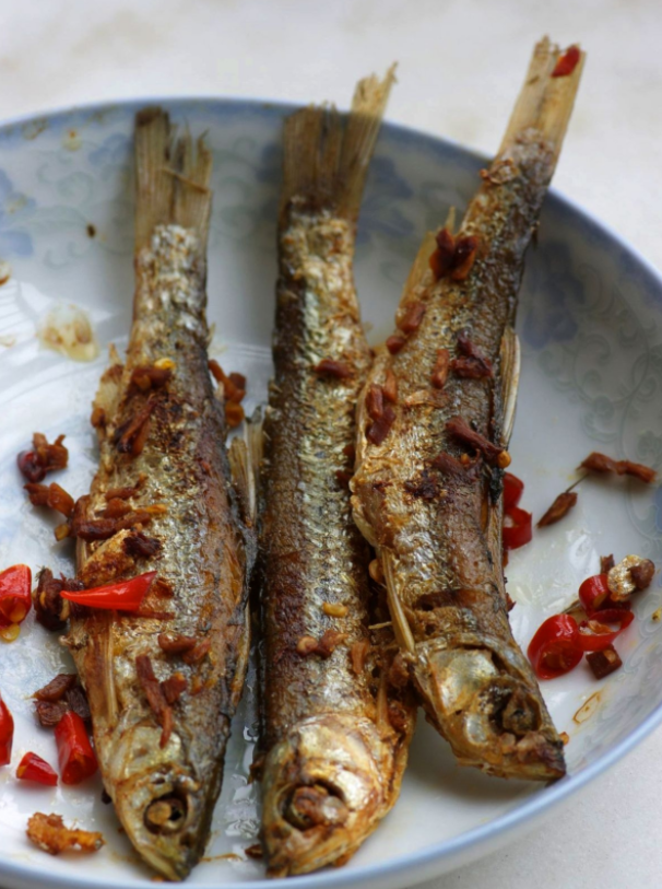 長江發現“神秘物種”鳤，本可長10餘公斤，為何如今很難見到？