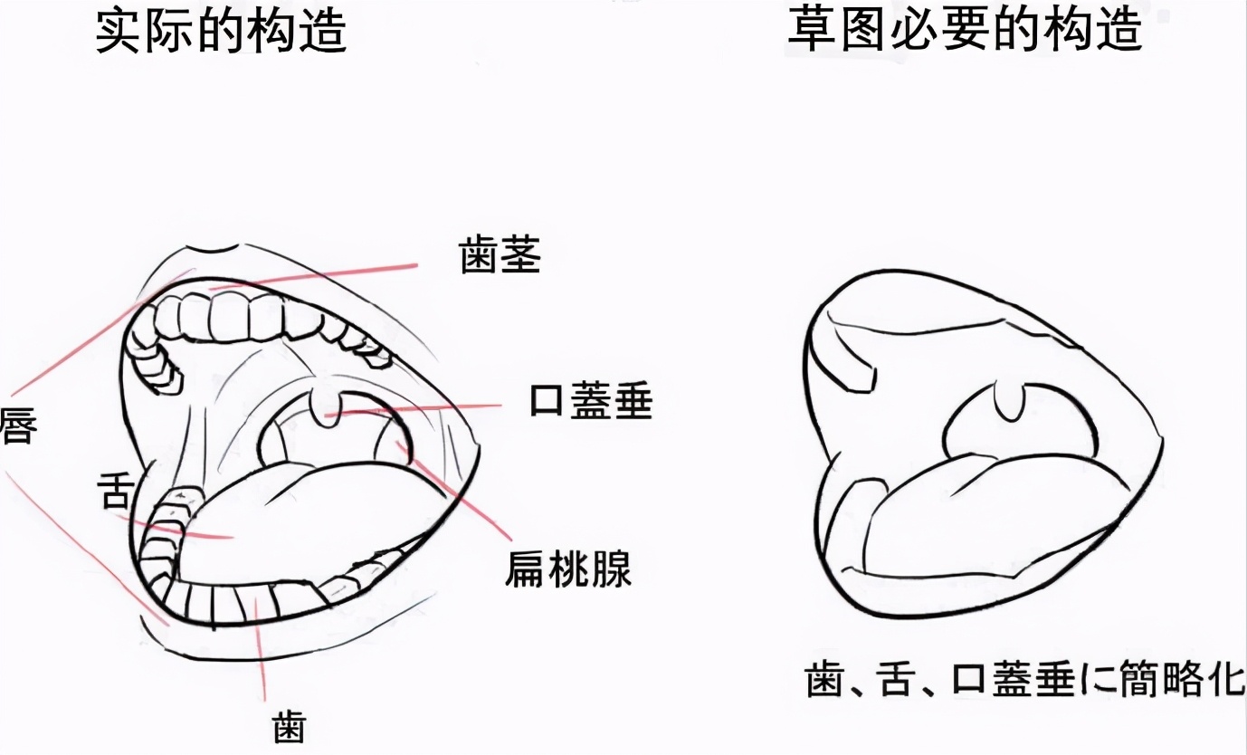 二次元嘴巴结构怎么画？教你掌握画嘴技巧诀窍，拒绝歪嘴战神