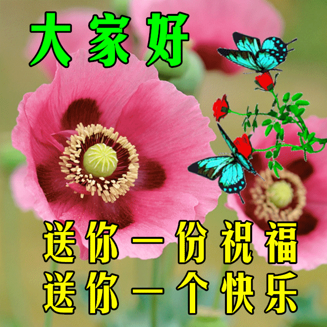 早安心语，正能量走心语录句子很好看的早上好图片图片