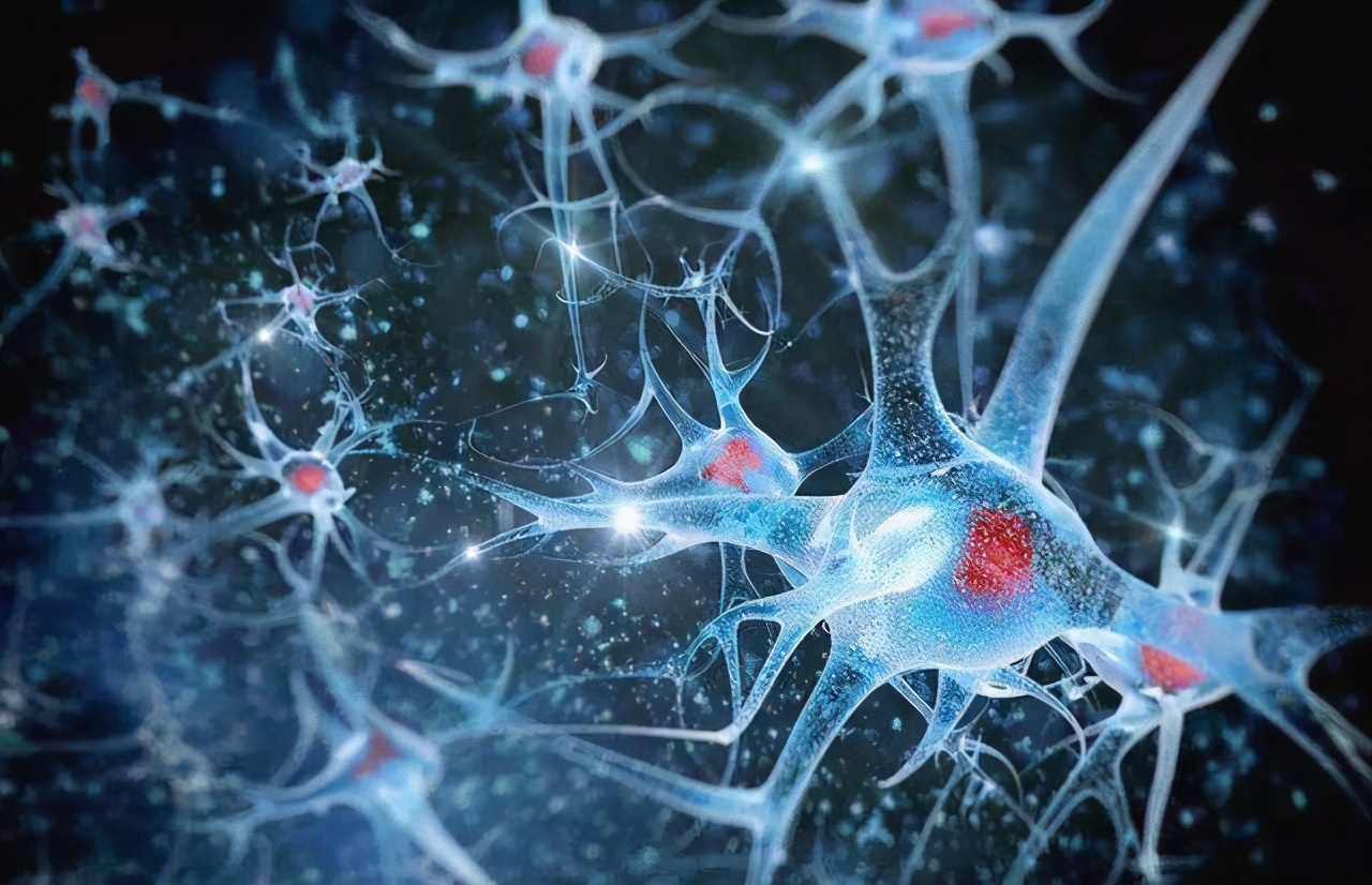 你三四歲前的記憶去哪裏呢？人類的幼年記憶為什麽會丟失？