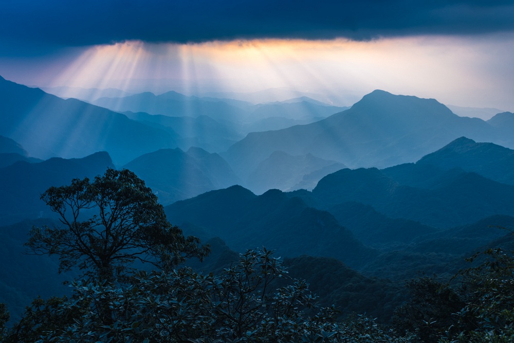 追星逐日金佛山，这样的浪漫名场面你见过吗？