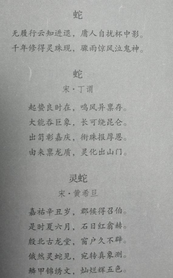 汉字说十二生肖之 蛇 Kgkd Mdeditor