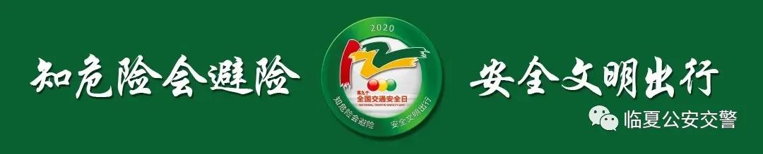 @所有人 机动车礼让行人≠行人可以乱穿马路