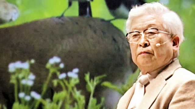 韩国官方为何阻止救援？上海打捞局捞出真相？解密世越号惨案真相