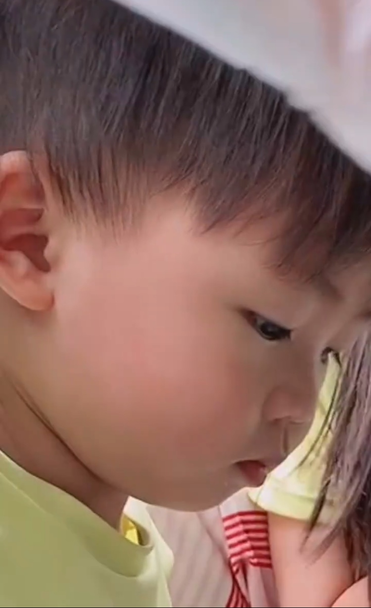 蔡少芬张晋带三子女喂流浪猫，鱼蛋投喂成功后开心不已，模样超萌