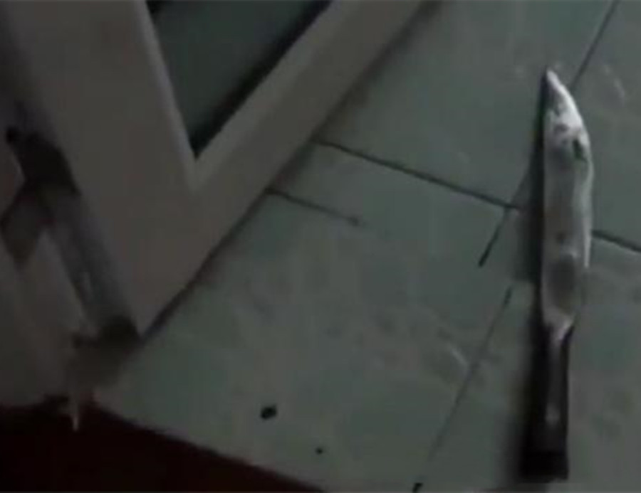 大案纪实：年轻新娘被娘家“卖”给婆家，杀人短信背后的支离破碎