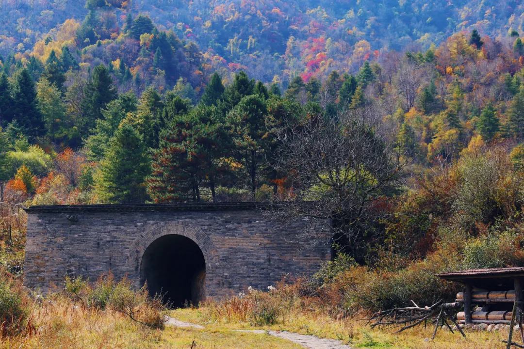 There is a heartbeat called the autumn of the Qinba Mountains!  Red leaves in clear autumn, encounter romantic scenery