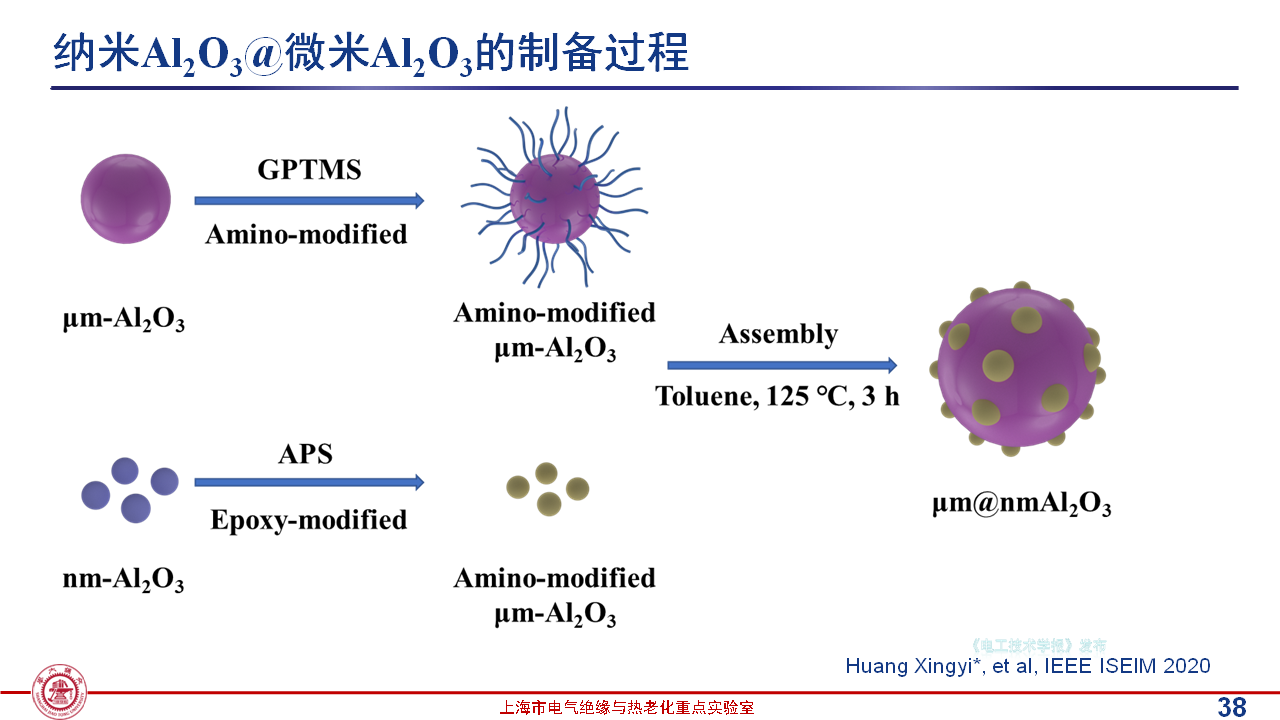 上海交通大學(xué)黃興溢教授：導(dǎo)熱絕緣復(fù)合電介質(zhì)中的界面設(shè)計與實證