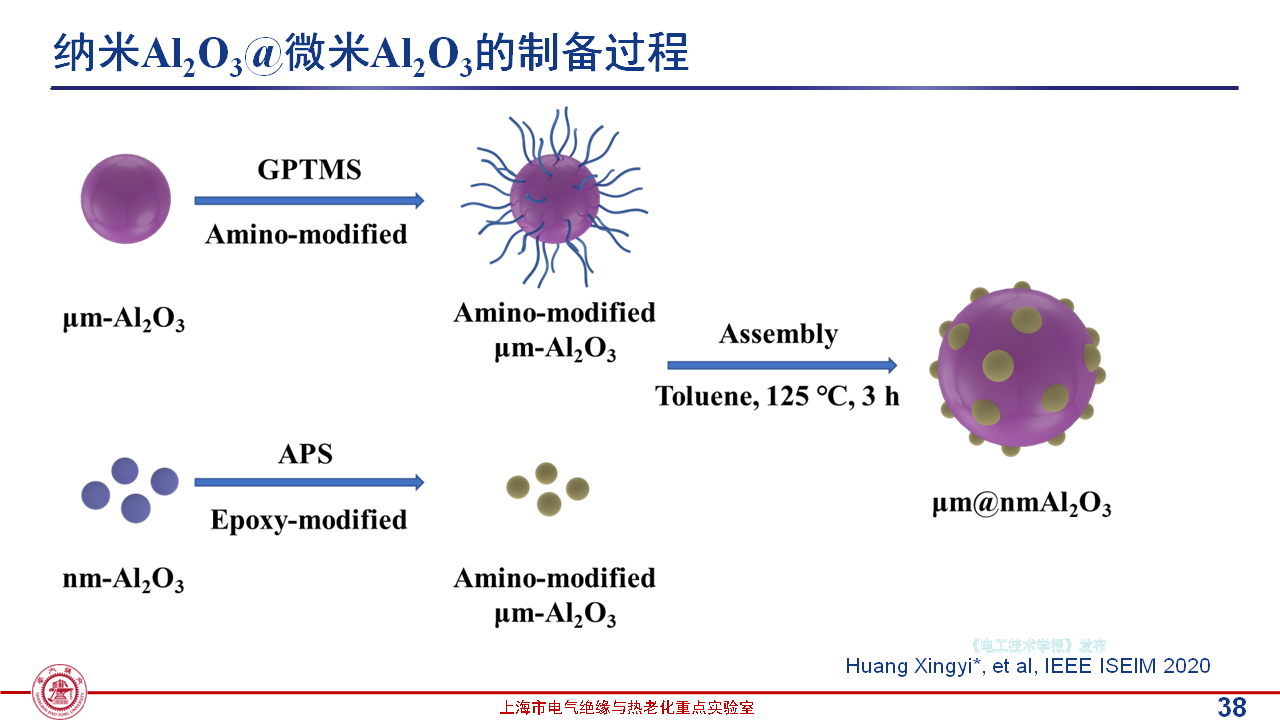 上海交通大学黄兴溢教授：导热绝缘复合电介质中的界面设计与实证