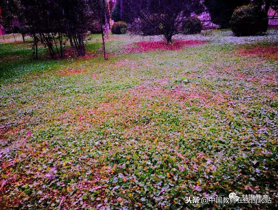 甘肃初雪|甘肃18所高校初学雪景大PK,快来看看有你的母校没?
