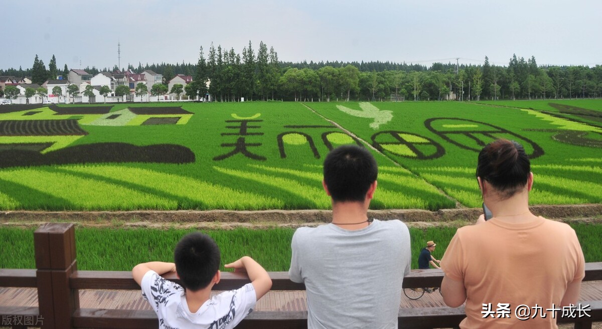 关于自媒体，那些成功大V，不会告诉你的8条真相