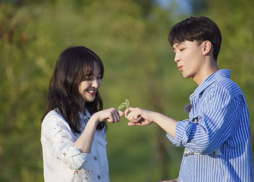 郑爽胜诉，张恒输在哪了