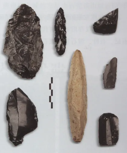 吉林东部发现近30处旧石器时代遗址