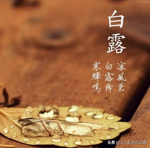 今日白露，“露从今夜白”，白露是什么意思？热不热了？答案来了