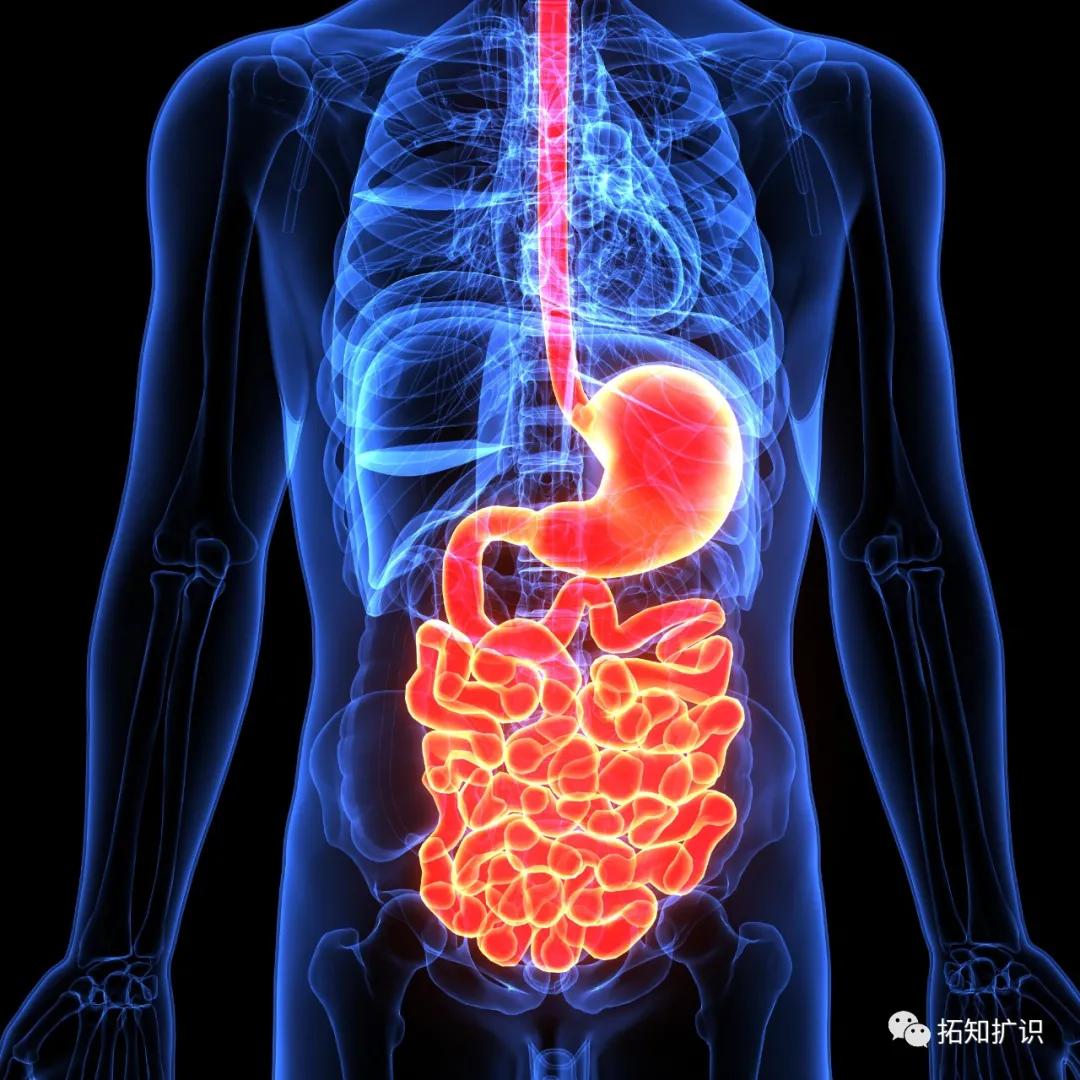 還在習以為常地熬夜？ 卻不知你的身體已經悄然垮掉